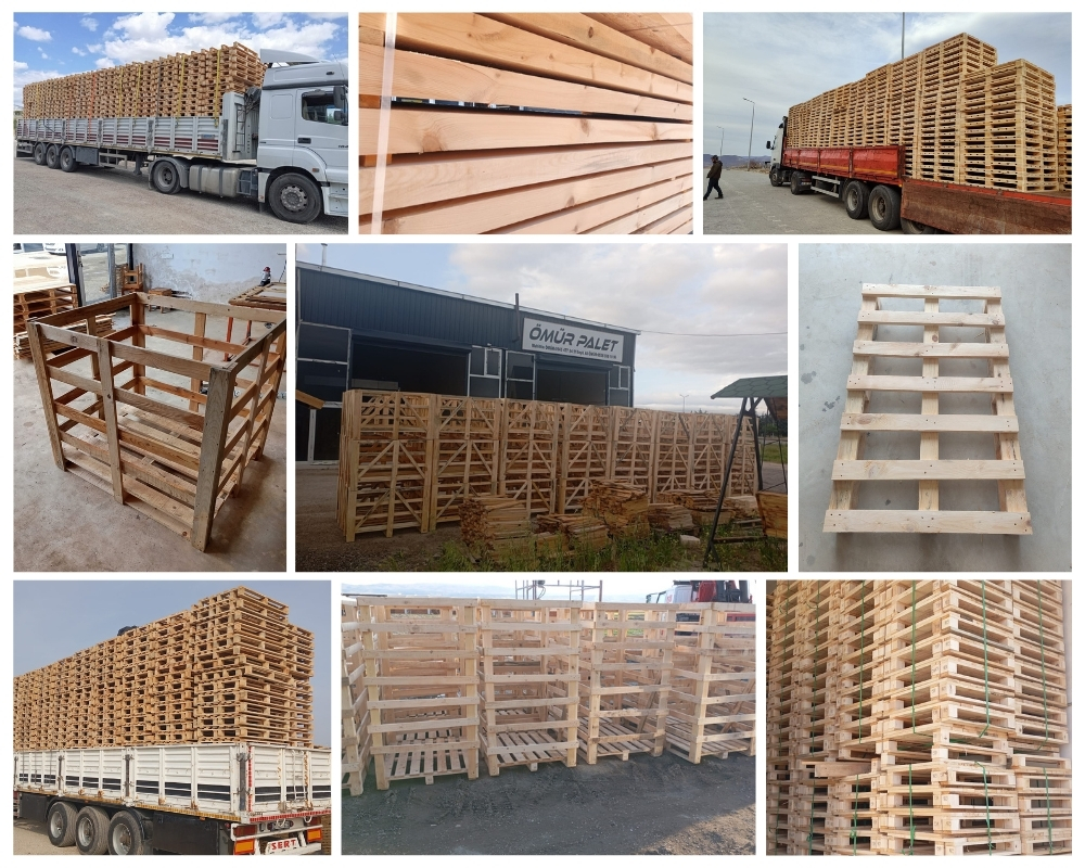 Spoelwijk Houten Kisten, Europallets Groothandel Kopen